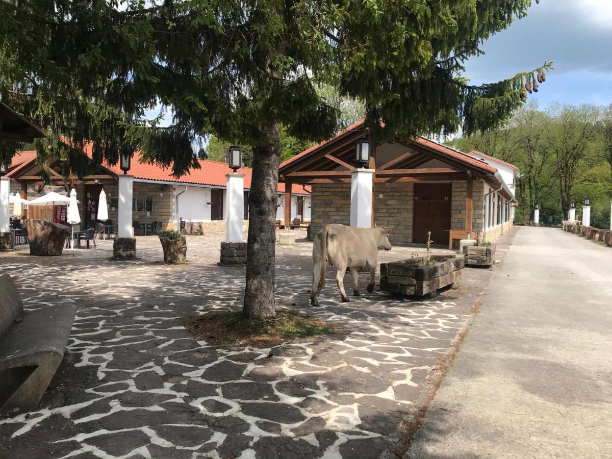 Kampaoh Sierra de Urbasa Hotel Bacaicoa Bagian luar foto